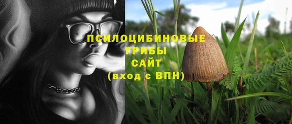 мяу мяу кристалл Гусь-Хрустальный