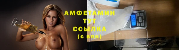 мяу мяу кристалл Гусь-Хрустальный