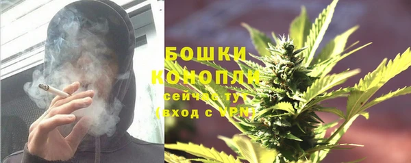 мяу мяу кристалл Гусь-Хрустальный